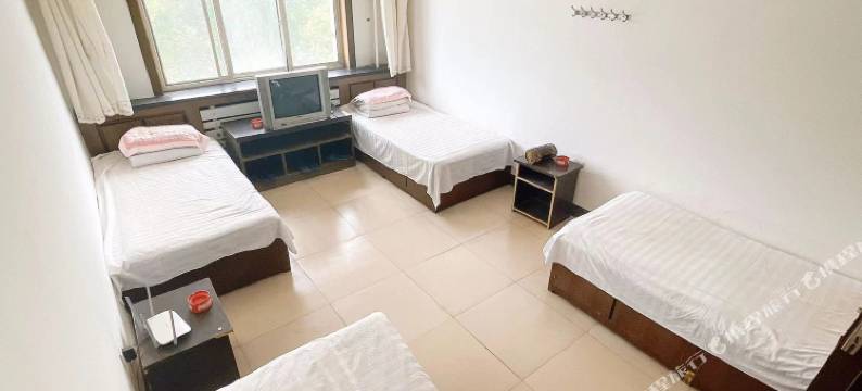 金宫宾馆(客运站店)图片