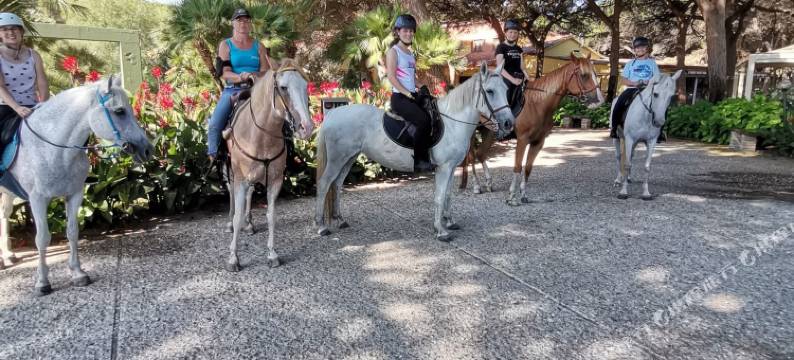 马乡度假村会议及水疗中心 - 里博特酒店(Horse Country Resort Congress & Spa - Hotel Ribot)图片