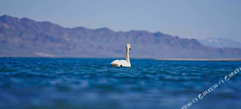 赛里木湖水云杉度假酒店图片