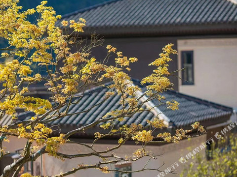 永泰蔓心宿三舍别墅