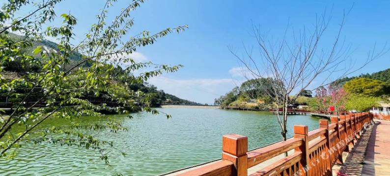 石镜山民宿图片