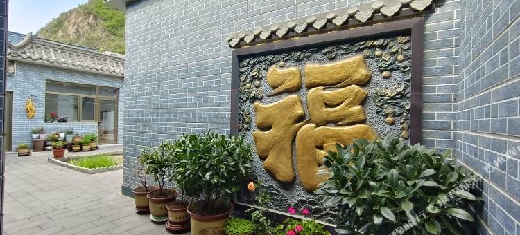 光辉农家院图片