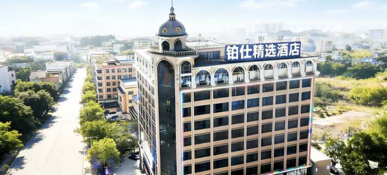 铂仕精选酒店(东莞茶山生态园店)图片