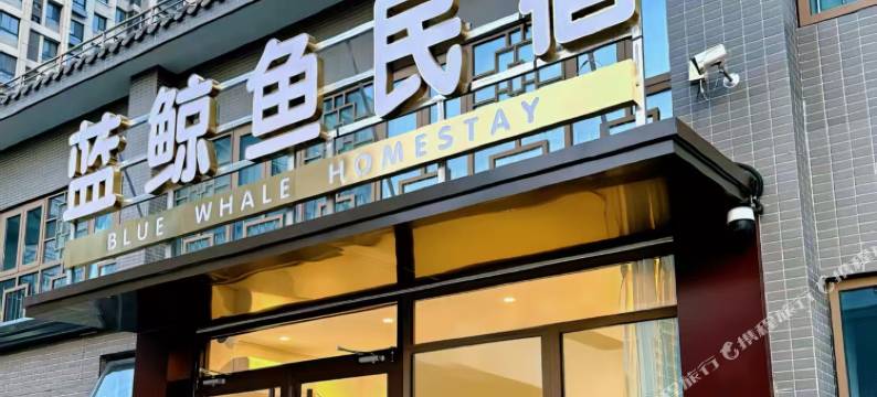 蓝鲸鱼民宿(泉城欧乐堡梦幻世界店)图片