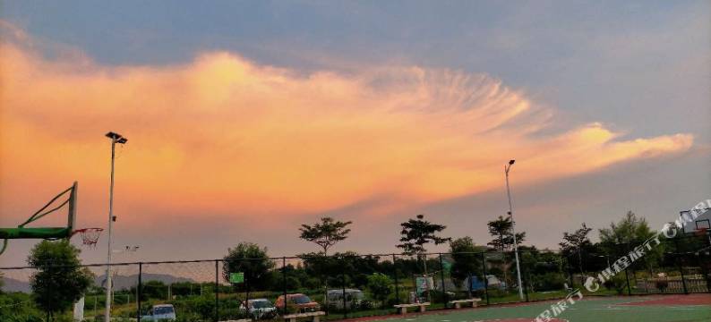 清远枫林小舍图片