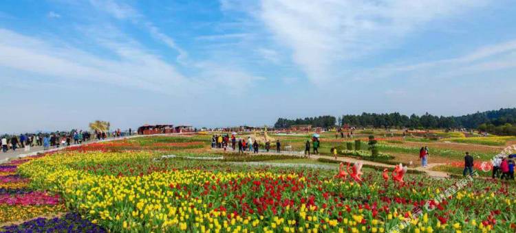 广场宾馆(成都双流国际机场双流广场地铁站店)图片