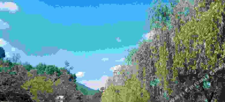 青木川宾馆图片