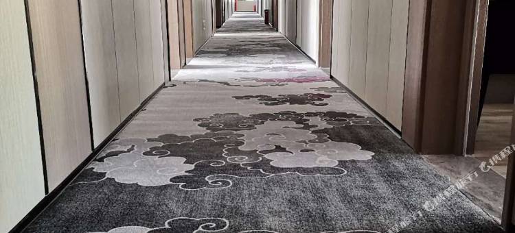 璞素丽致酒店(随州解放路客运中心)图片