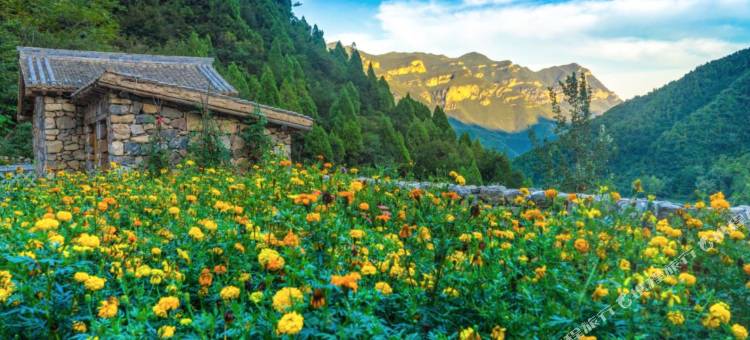 云丘山窑洞大院图片