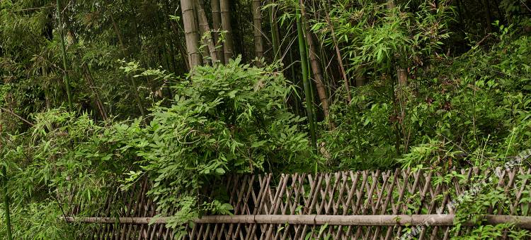 听涧·莫干山｜椿山集花园景观度假民宿图片