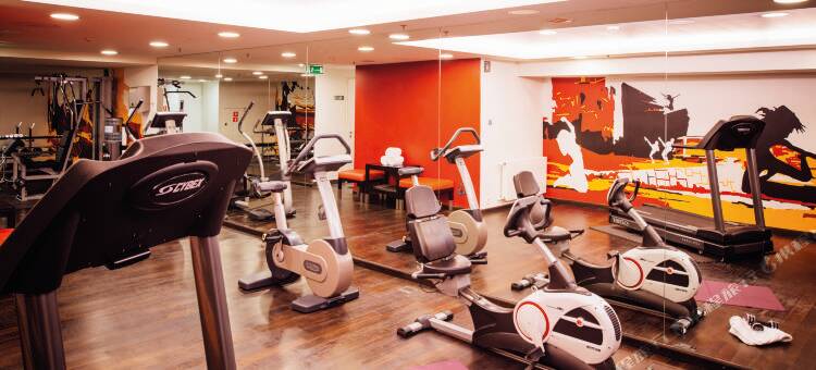 卡托维茨温德姆维也纳之家简易酒店(Vienna House Easy by Wyndham Katowice)图片