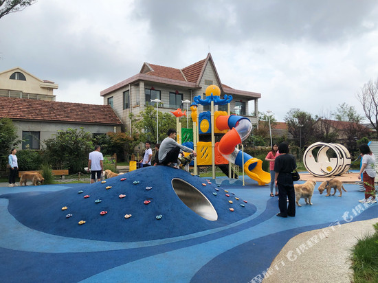 日照安泰渔港村落民宿(岚山海上碑店)