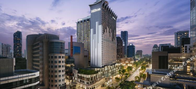 新加坡乌节希尔顿酒店(Hilton Singapore Orchard)图片