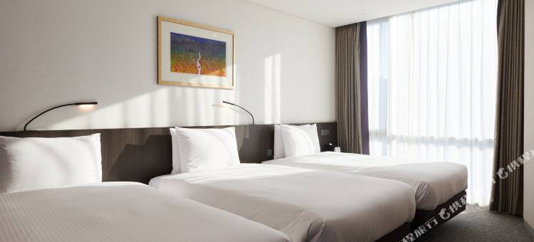 九树帕那斯首尔明洞 2(NINE TREE BY PARNAS SEOUL MYEONGDONG 2)图片