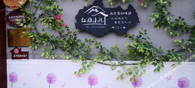 十渡红梅小院农家院图片