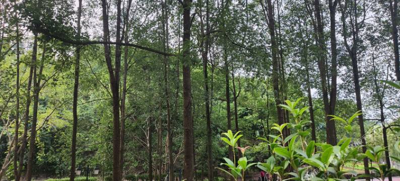 高县新鑫旅馆图片