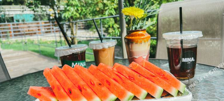 江油逸景乡舍民宿图片