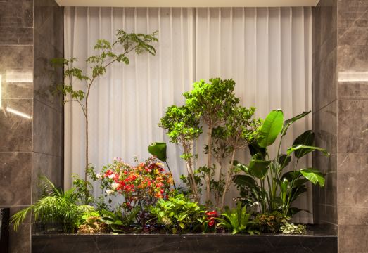 Bahrain Right Banner Villis Maple View Hotel Hotel Overview