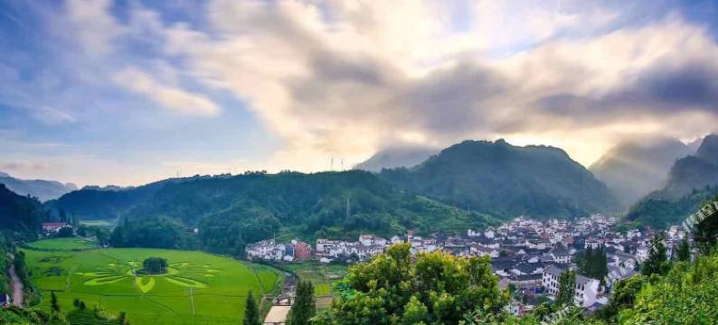 武义阳春山居民宿图片