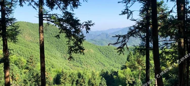 莫干山喜心帐篷营地图片