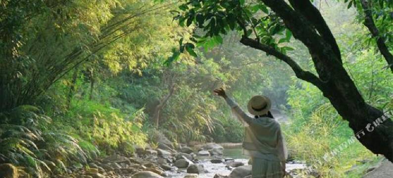 广州世间香境七溪地椿香舍民宿图片