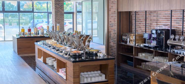 震大金郁金香酒店图片