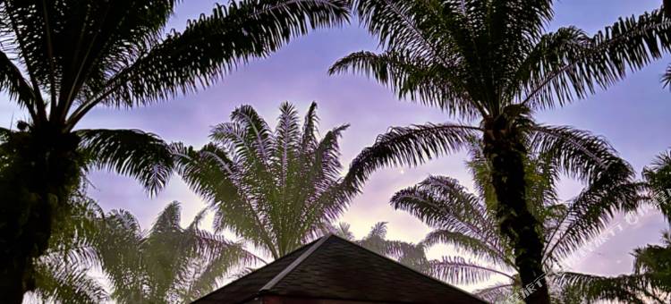 菠萝的海.度假别墅(中文管家服务+免费酒店往返镇上/码头班车)(OPINE.VILLAS)图片