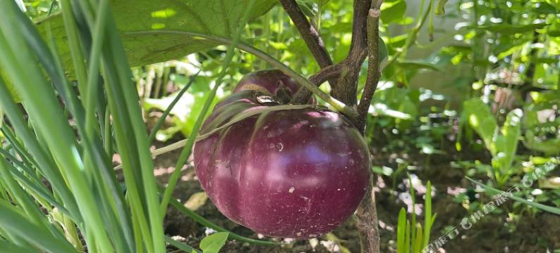 闲云野筑(恩施大峡谷云龙地缝店)图片