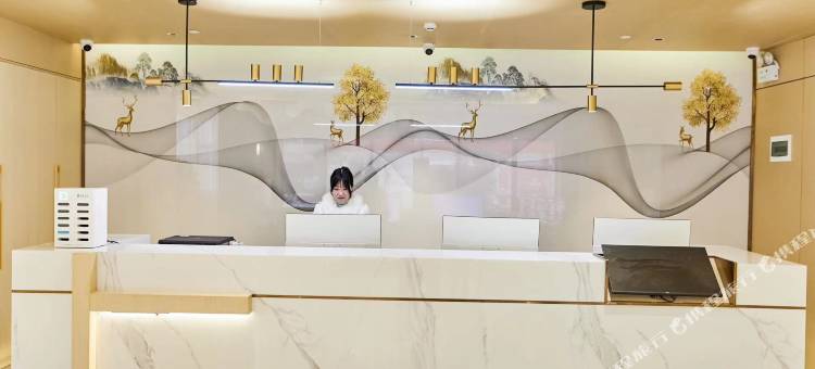 龙海国际丨LongHai•智能家居大师设计酒店(淮滨人民医院淮滨站店)图片