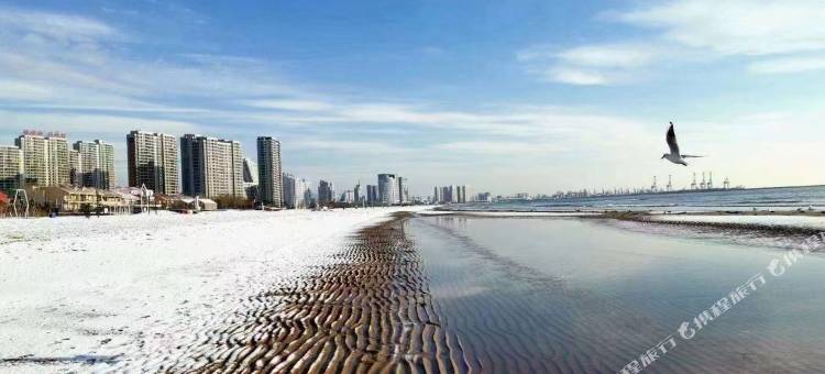 北戴河星辰·屿海精品民宿(鸽子窝公园店)图片