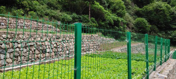 五岳寨雨山前民宿图片