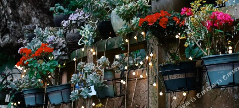 上里古镇枫杨小院民宿图片