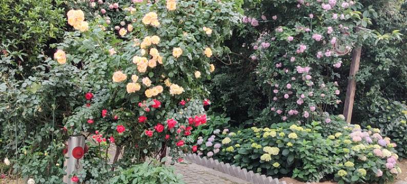 星晨屿海民宿图片