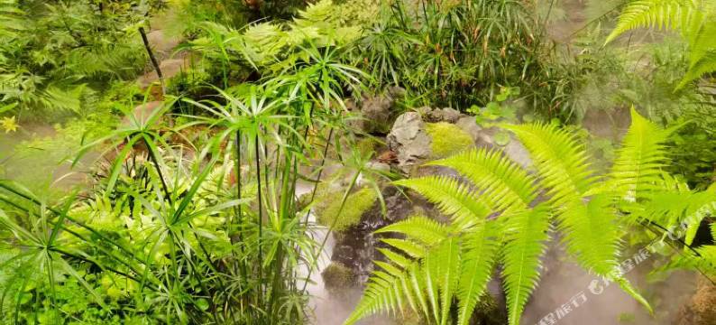 大连悦榕汇酒店图片