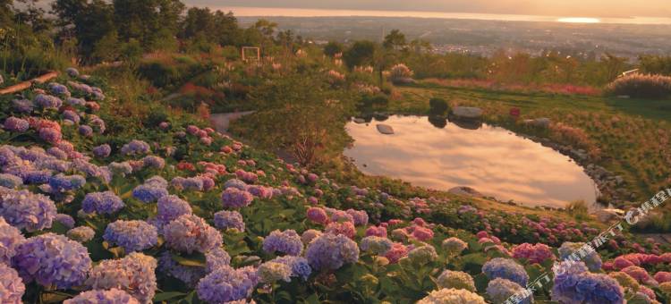 青寂溪谷半山酒店图片