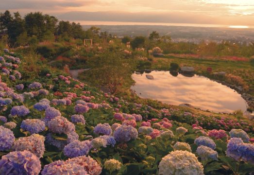青寂溪谷半山酒店外景图