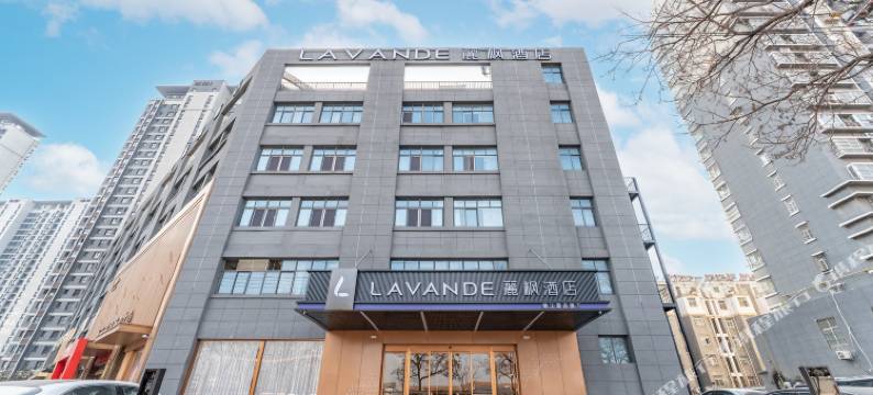 麗枫酒店(徐州丰县汽车站店)图片