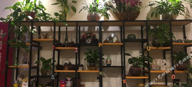 阳朔丽缘酒店(西街店)图片