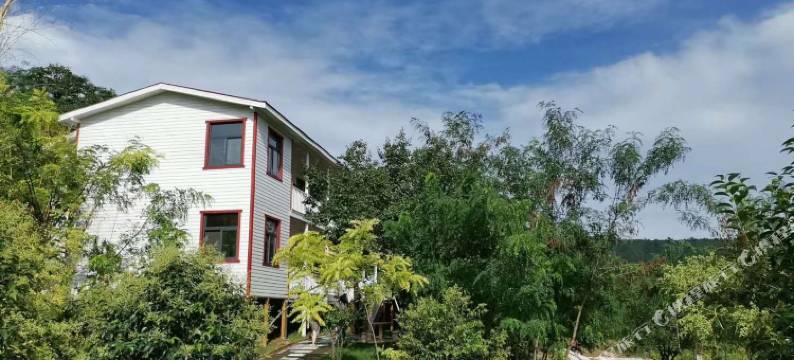 蓝田云居花谷林苑民宿图片