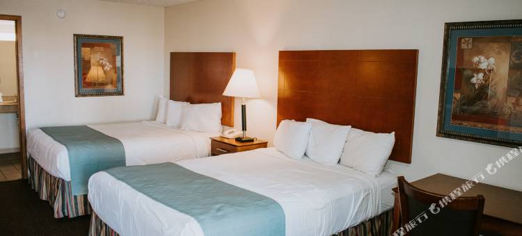 温德姆戴斯酒店 - 南鸽子谷(Days Inn by Wyndham Pigeon Forge South)图片