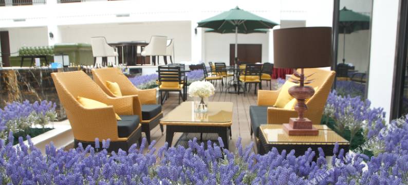 大西洋兰利酒店(Atlantic Lumley Hotel)图片