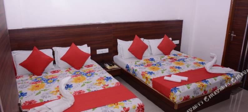 提卡纳宫酒店(Hotel Thikana Palace)图片