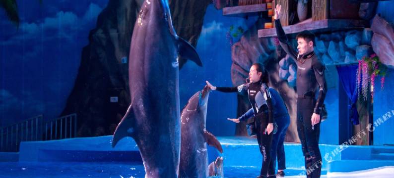 重庆山前宋品酒店图片