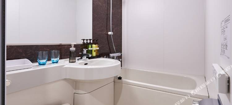 心斋桥威利纳高级酒店(Welina Hotel Premier Shinsaibashi)图片