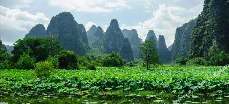 钟山大众宾馆图片