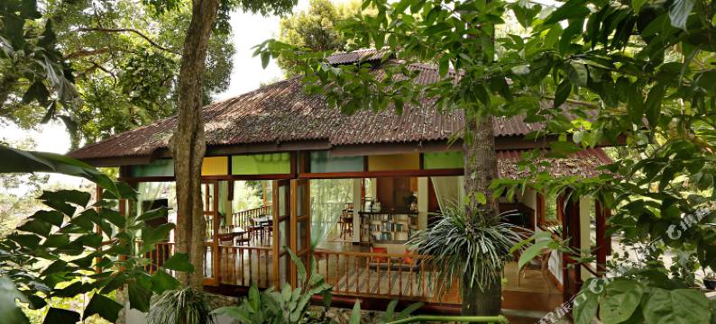 艾姆帮雨林度假酒店(Ambong Rainforest Retreat)图片