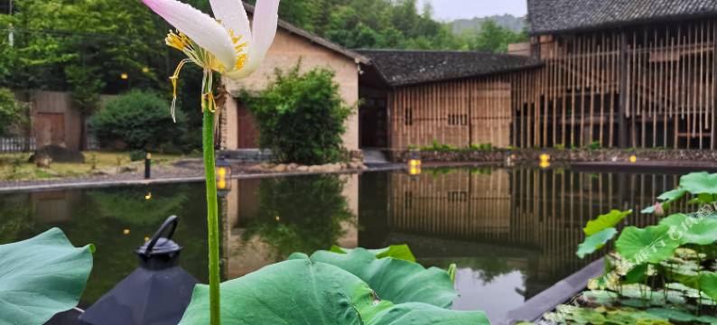 莫干山UNDO静心度假村图片