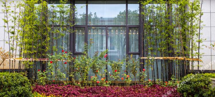 余干冕山接待中心图片