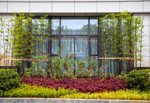 mianshan reception center Hotel Overview