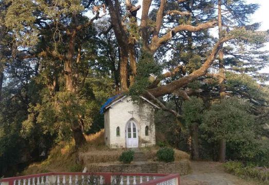 Tree of Life Grand Oak Manor BinsarHotel Overview